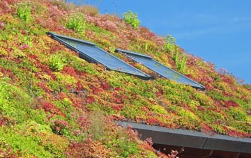 Sowerby Bridge living roof systems